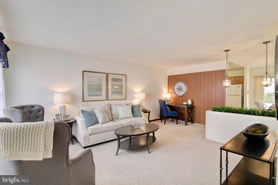 807 W Nettle Tree Rd, Sterling, VA 20164 - photo 7