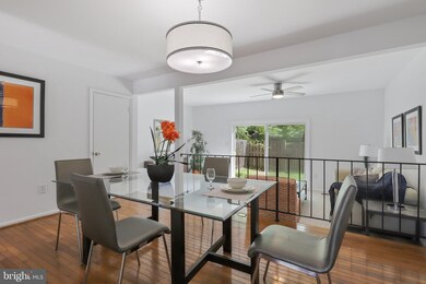 2923 Cashel Ln, Vienna, VA 22181 - photo 5