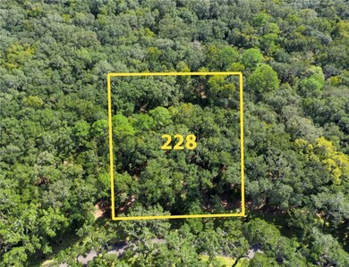 385 Pikes Bluff Dr unit (Lot 228), Saint Simons Island, GA 31522 - photo 3