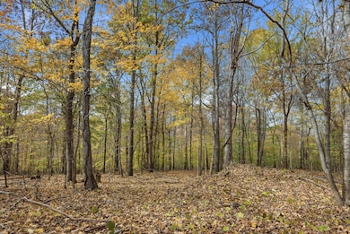 0 Vaughn Ln, Indian Mound, TN 37079 - photo 3