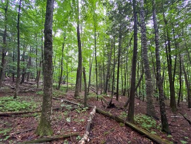 2899 Vermont 5a, Orleans, VT 05860 - photo 3