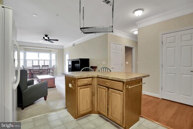 Mill Crossing unit 205, Frederick, MD 21702 - photo 5