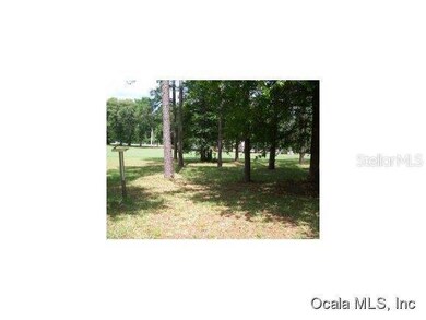 19794 SW 85th Loop, Dunnellon, FL 34432 - photo 3