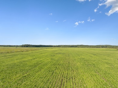 11200 Highway 142, Shiloh, TN 38376 - photo 7