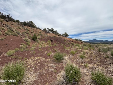 1123 E Broken Arrow Dr, Red Lake, AZ 86046 - photo 3