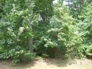 103 Cross Creek Cir, Macon, GA 31210 - photo 4