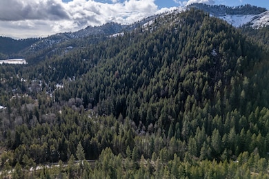 41XX Grouse Creek Rd, Loon Lake, WA 99148 - photo 2