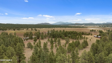 6-web-or-mls-DJI_20250918140822_0006_D