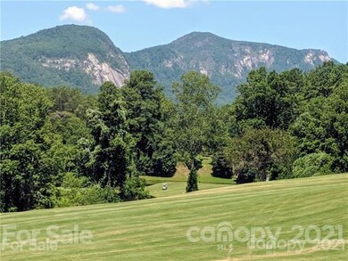 0 Whitney Blvd unit 7 3735048, Lake Lure, NC 28746 - photo 2