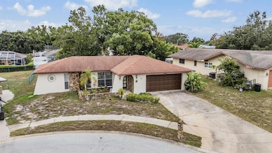 7032 Fernleaf Ct, Port Richey, FL 34668 - photo 3