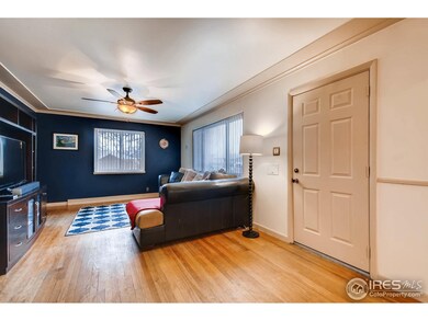 4640 Otis St, Wheat Ridge, CO 80033 - photo 6