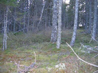 Land/Lot.