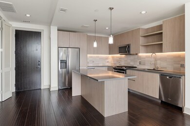 Luxury Model Unit