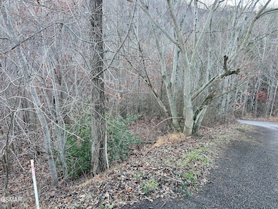 1611 Mountain Dreams Way, Sevierville, TN 37862 - photo 3