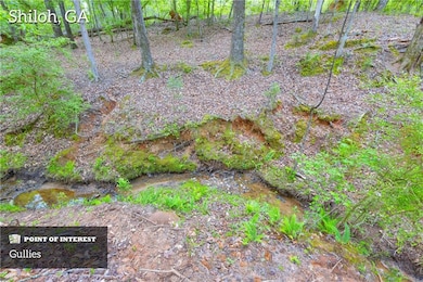 2450 Chestnut Grove Rd, Shiloh, GA 31826 - photo 7