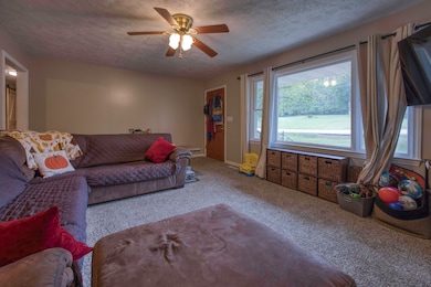 644 Wayland Dr, Forsyth, MO 65653 - photo 3