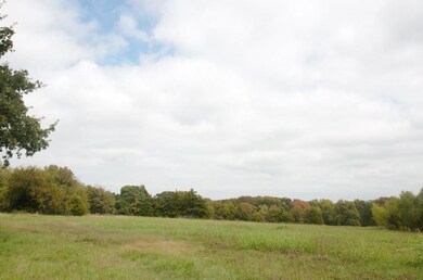 21.7 Ac Reeves Rd, Pottsboro, TX 75076 - photo 5