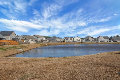 Pond