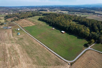 DJI_0389