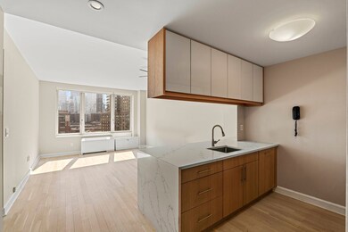 The Rushmore unit 12A, New York, NY 10069 - photo 5