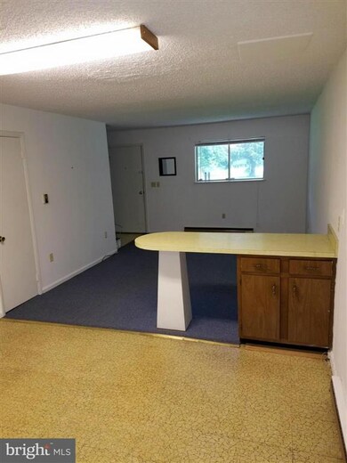 110 Perth Way, Shepherdstown, WV 25443 - photo 6