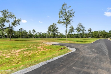 Lot 4 Pine Ridge Ln, Lucedale, MS 39452 - photo 4