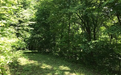 0 Toccoa River Forest unit 278490, Mineral Bluff, GA 30559 - photo 4