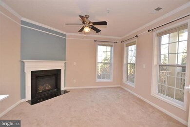 41998 Blue Flag Terrace, Stone Ridge, VA 20105 - photo 3