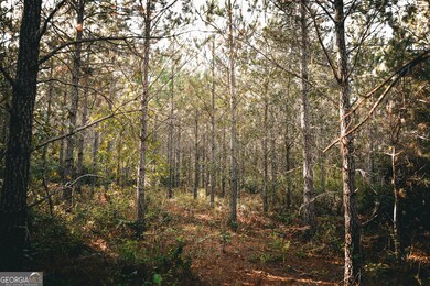 0 Camp Brooklyn Rd unit 10610288, Fitzgerald, GA 31750 - photo 2