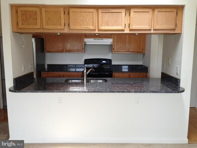 2802 Clear Shot Dr unit 12, Silver Spring, MD 20906 - photo 4