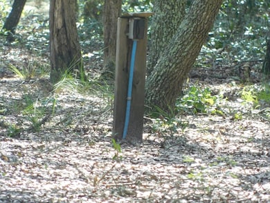 239 River Moss Rd, Reidsville, GA 30453 - photo 3