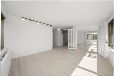 247 E Chestnut St unit 2004, Chicago, IL 60611 - photo 5