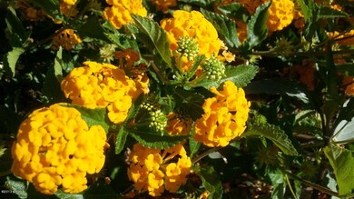 20130529_075544