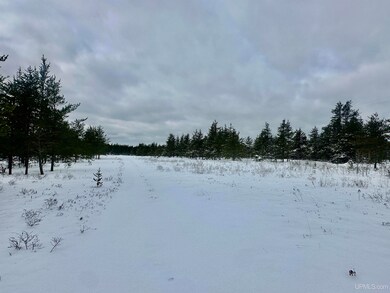 TBD Airfield Rd, Gwinn, MI 49841 - photo 4