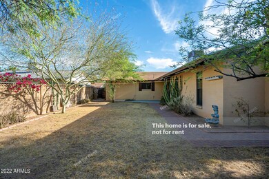 1039 E 2nd Place, Mesa, AZ 85203 - photo 7