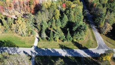 V/L 2.1AC N Barlow Rd, Lincoln, MI 48742 - photo 6