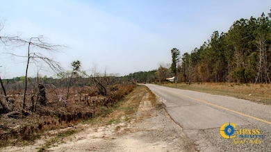 0 Prosser Rd unit 25510401, Deepstep, GA 31082 - photo 4