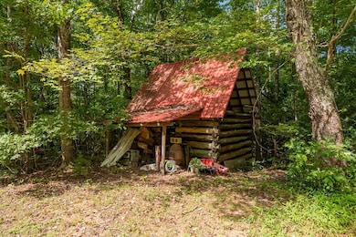 971 Flint Hill Rd, Cana, VA 24317 - photo 3