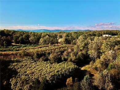 00 Tree Farm Rd, Walhalla, SC 29691 - photo 2