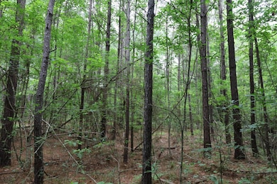 TBD Slay Rd, Olla, LA 71465 - photo 2