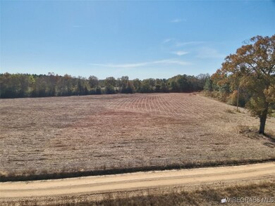 6.74 Acres Huskey Rd, Dothan, AL 36303 - photo 2