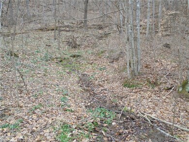 0 Crow Ln unit 3372691, Burnsville, NC 28714 - photo 6