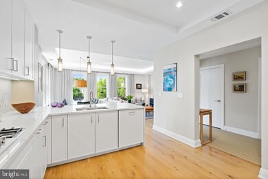 Ritz-Carlton Residences unit 313, Chevy Chase, MD 20815 - photo 6