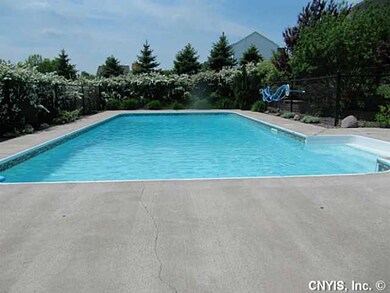 Pool In Ground
