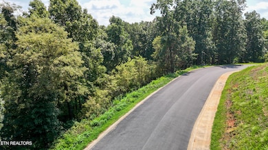 2078 Edgewater Sound Rd, Morristown, TN 37815 - photo 4