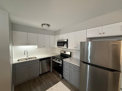 744 W Gordon Terrace unit 311, Chicago, IL 60613 - photo 5