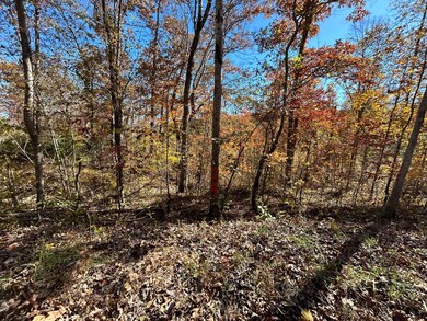 IMG_5555