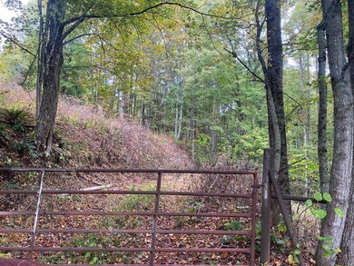 TBD Bandy Rd Whitaker Ridge Area, Bandy, VA 24602 - photo 4