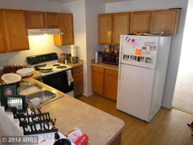 46 Currituck Ct, Bunker Hill, WV 25413 - photo 4