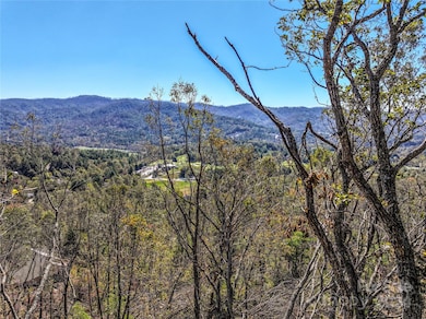 Lots 2, 135 and Pt 1 High Bluff Dr, Weaverville, NC 28787 - photo 3